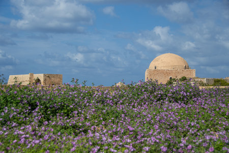 The ruins of the ancient city.の写真素材