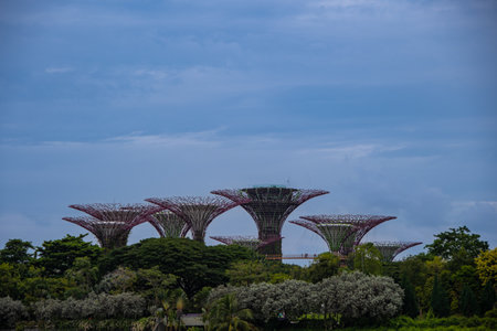 Singapore, Singapore August 30, 2022, Supertree Grove in Garden of the Bayのeditorial素材