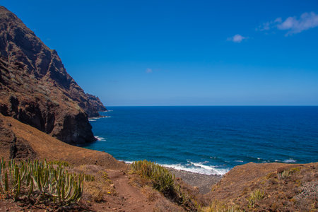 Photo Picture of the Beautiful Ocean Coast's View Montana Amarilla Tenerifeの写真素材