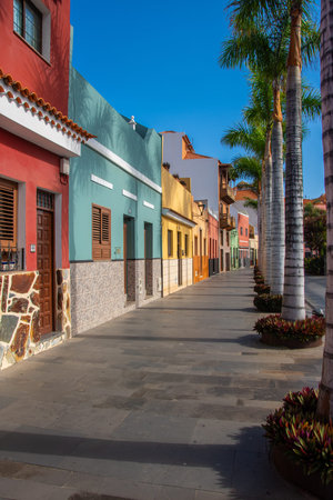 Colorful houses with palm trees in the streets of Puerto de la Cruz
