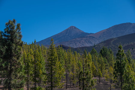 The viewpoint "Mirador De Samara" with a view of the Pico del Teideの写真素材
