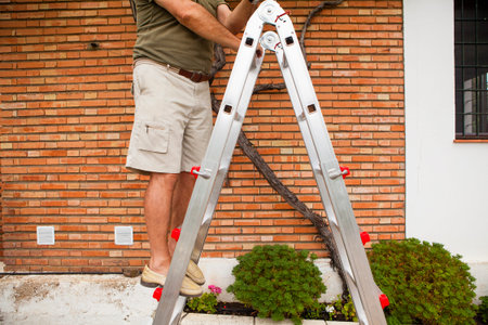 Senior man legs in a ladder.の写真素材