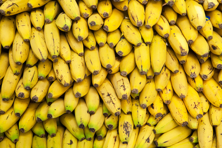 Bunch of bananas. Yellow texture background.の写真素材