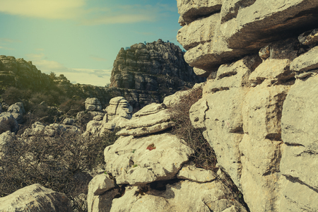 Karst rocks  landscape.の写真素材