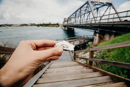Man holding an oyster in the hand outdoorsの写真素材