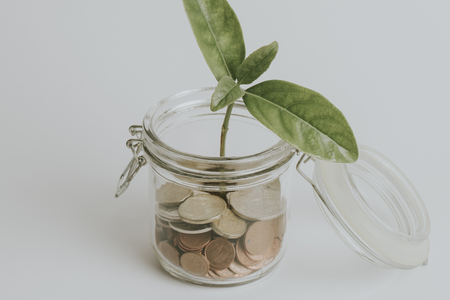 Coins in a glass jar with a green plant growing inside, on white background, with vintage filter.の写真素材