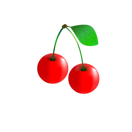 Cherry fruits on a white background. image cherries isolatedのイラスト素材