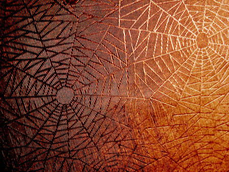 abstract orange spider backgroundの写真素材
