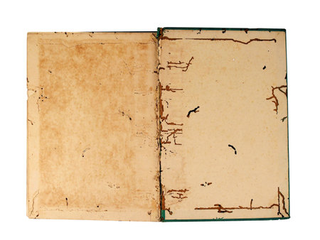 old open book with worm damage      
