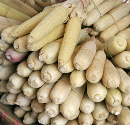  sweetcorn の写真素材