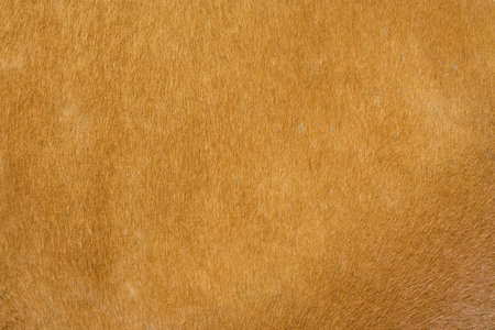 textureの写真素材