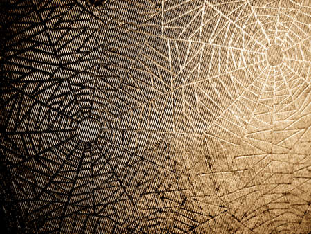  old paper with cobweb pattern ( background texture )の写真素材