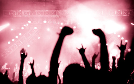 An Audience cheering for their favorite musician