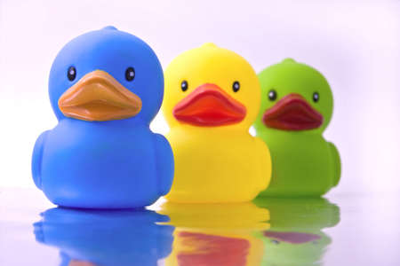 three rubber ducks with reflectionの写真素材