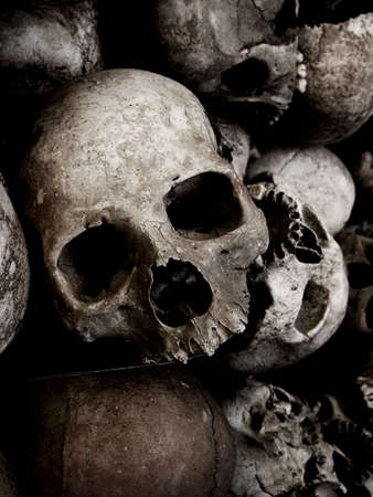 human skulls の写真素材