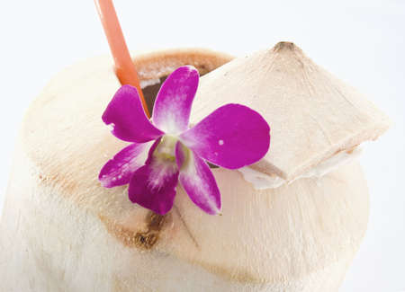 coconutの写真素材