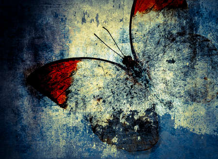 abstract Butterfly Backgroundの写真素材