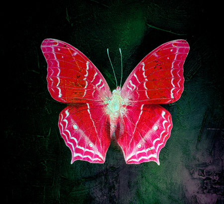lots of Butterfly background image