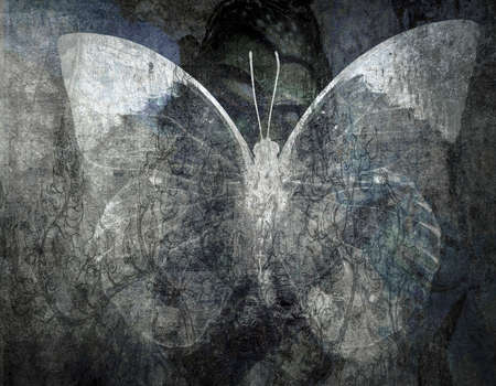 grunge Butterfly background  texture image の写真素材