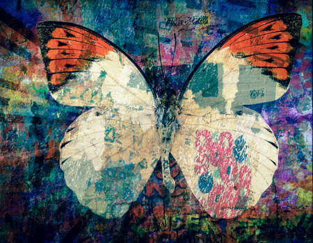 grunge Butterfly background  texture image の写真素材