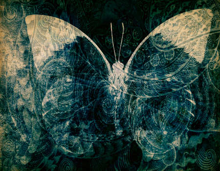 grunge Butterfly background  texture image の写真素材
