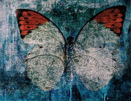 grunge butterfly background textureの写真素材