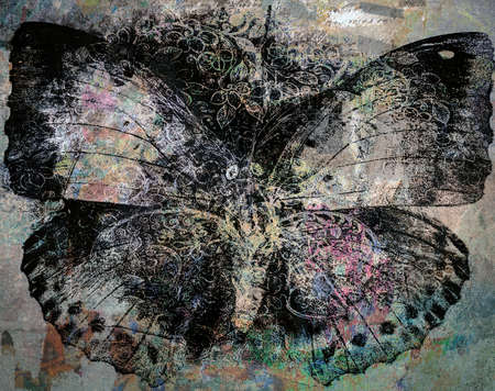 grunge butterfly background textureの写真素材