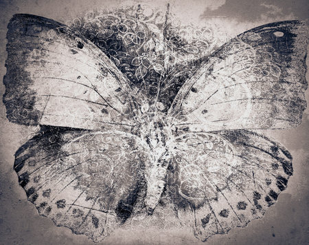 grunge butterfly background textureの写真素材