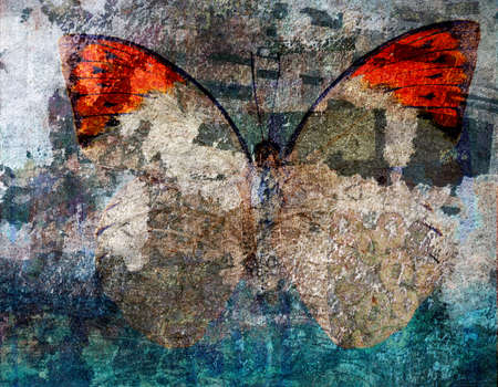 grunge butterfly background textureの写真素材