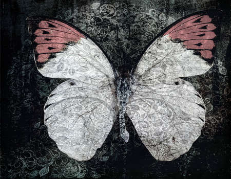 grunge butterfly background textureの写真素材