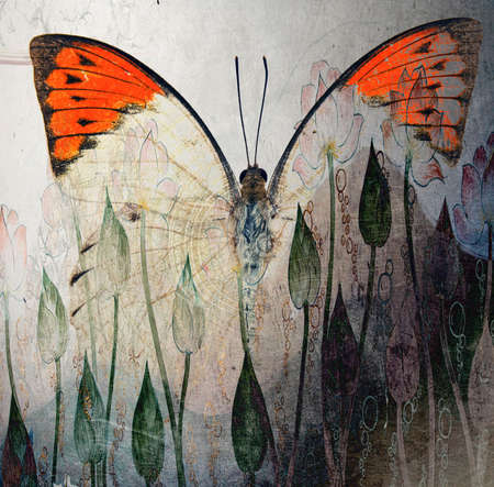 a grunge butterfly wallpaper texture  imageの写真素材