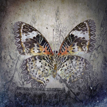 a grunge butterfly wallpaper textureの写真素材