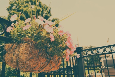 This photo was shot on a warm summers day の素材