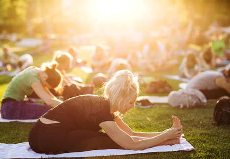 big group of adults attending a yoga class outside in parkの写真素材