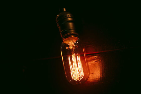 Vintage incandescent Edison type bulbs on wooden wall.