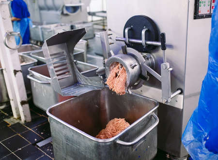 The meat in the Grinder. The meat industryの写真素材