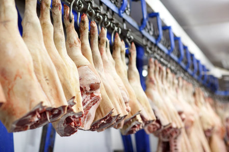 Pig carcasses cut in half stored in refrigerator room of food processing plant.の写真素材