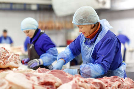 Cutting meat in slaughterhouse. The meat and sausage factory.の写真素材