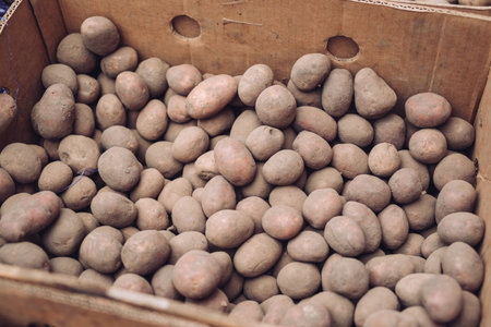 A bag of raw and dirty potatoes. Fresh potatoes close-up in a grid.