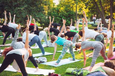 A group of young people do yoga in the Park at sunset.の写真素材
