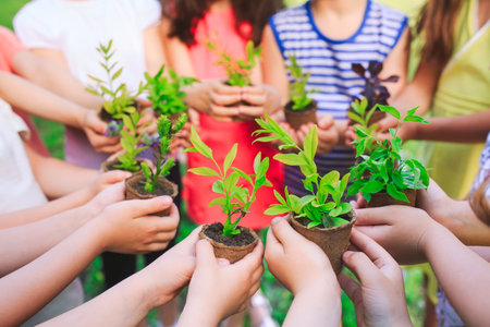 People Hands Cupping Plant In Nurture Environmental.