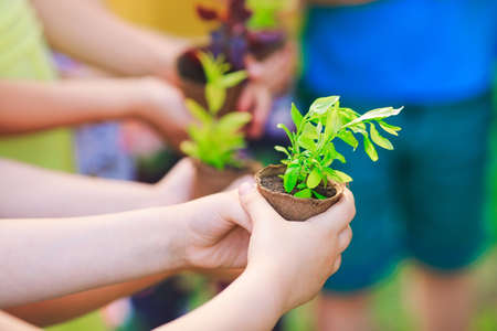 People Hands Cupping Plant In Nurture Environmental.の写真素材