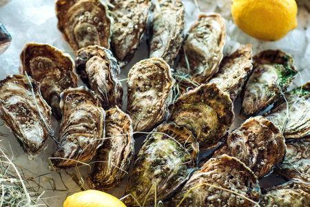 Oysters and other seafood on ice.