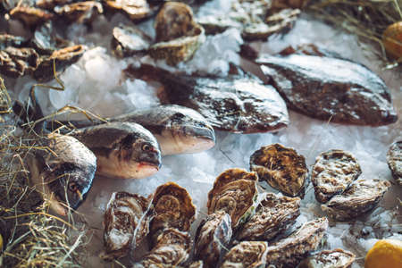 Oysters and other seafood on ice on the shop counter.の写真素材