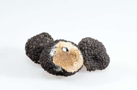 Black truffles isolated on a white backgroundの写真素材