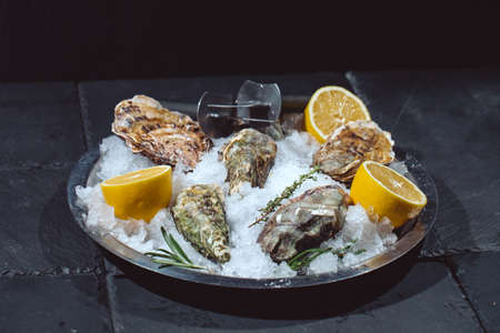 Oysters on stone plate with ice and lemonの写真素材