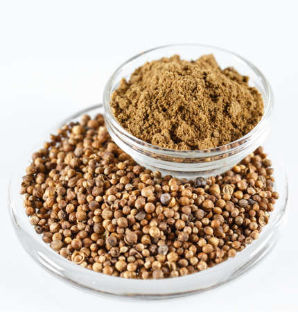 Coriander Isolated on the white background in a plateの写真素材
