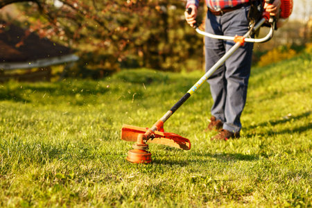 mowing trimmer - worker cutting grass in green yard at sunset