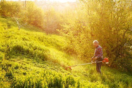 mowing trimmer - worker cutting grass in green yard at sunsetの写真素材