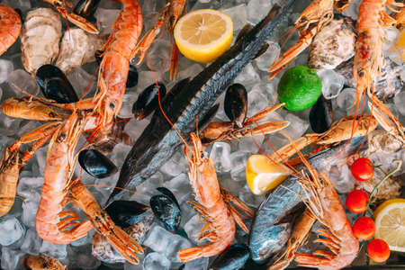 Seafood on ice. Crabs, sturgeon, shellfish, shrimp, Rapana, Dorado, on white ice.の写真素材